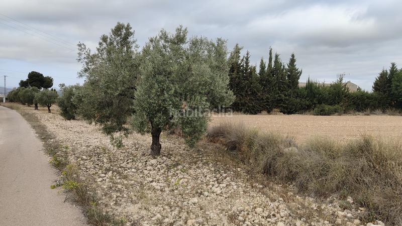 Foto 4f38a996-fe34-4242-b522-2bb3aa78872b. Propriété dans Sax