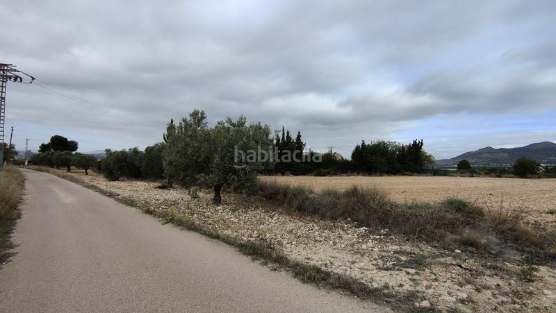 Foto dd7d8884-1744-4371-bc61-3d0cde09f4e7. Propriété dans Sax