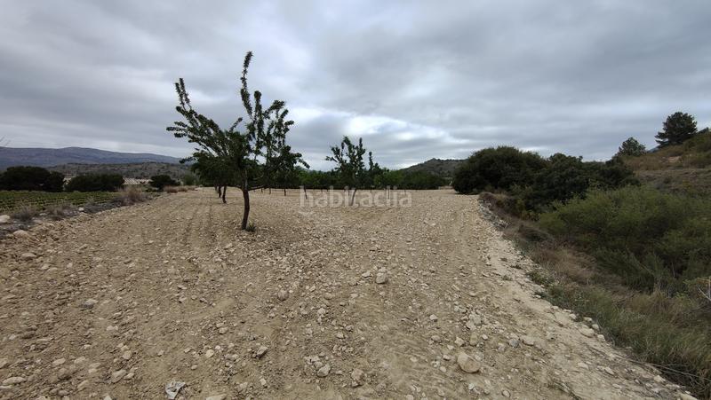 Foto 43b43e95-4891-489e-ad8f-d7098323be49. Finca rústica a plaça poligono 3 271 a Sax