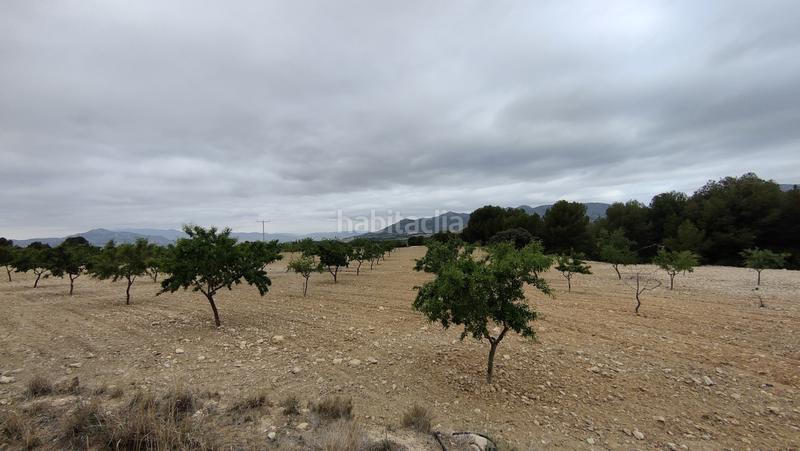 Foto 5accaf92-0ea4-4812-bbef-5fb303316ad5. Finca rústica a plaça poligono 3 271 a Sax