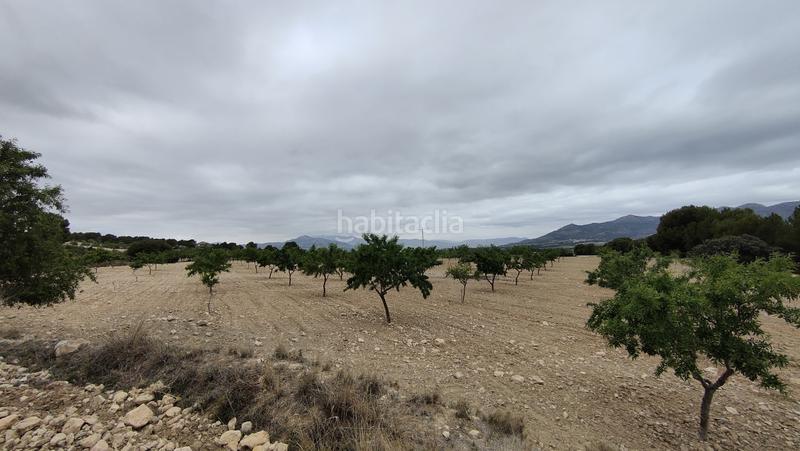 Foto 82af90ab-0bd1-4602-93da-5cce0efc58d1. Finca rústica a plaça poligono 3 271 a Sax