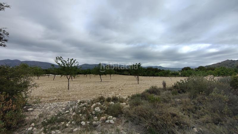 Foto 8c35c29c-8d75-4cca-b7f8-72d2db503e08. Finca rústica a plaça poligono 3 271 a Sax