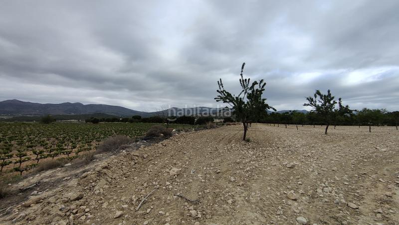 Foto a0290241-af2a-4006-9d5e-c1d45e7ff640. Finca rústica a plaça poligono 3 271 a Sax