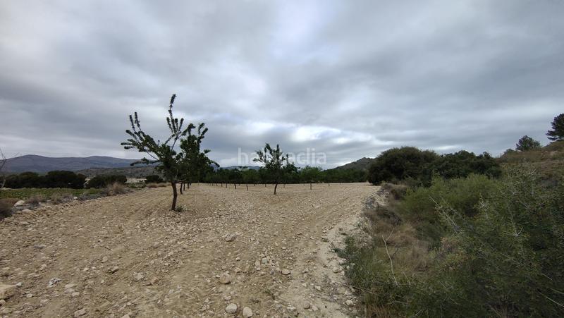 Foto a34ec125-0fad-4b78-95d2-197c69f4b6f4. Finca rústica a plaça poligono 3 271 a Sax