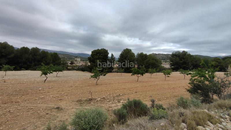 Foto b794b281-0000-418e-8e62-17150383f239. Finca rústica a plaça poligono 3 271 a Sax