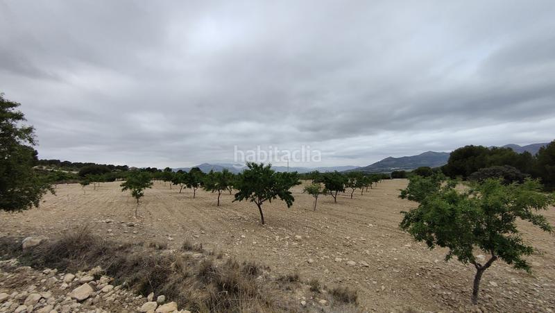 Foto d919e81d-e69e-4651-9a70-99df8c00473c. Finca rústica a plaça poligono 3 271 a Sax