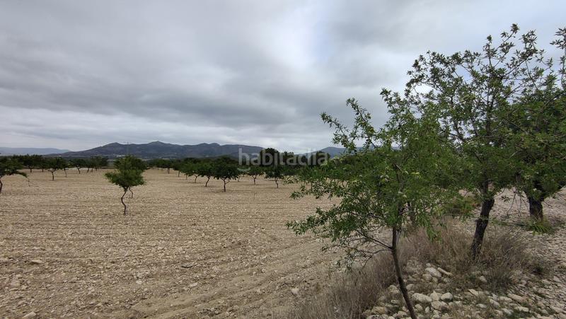 Foto dc813709-0d28-4c94-9876-3d982016d5e7. Finca rústica a plaça poligono 3 271 a Sax