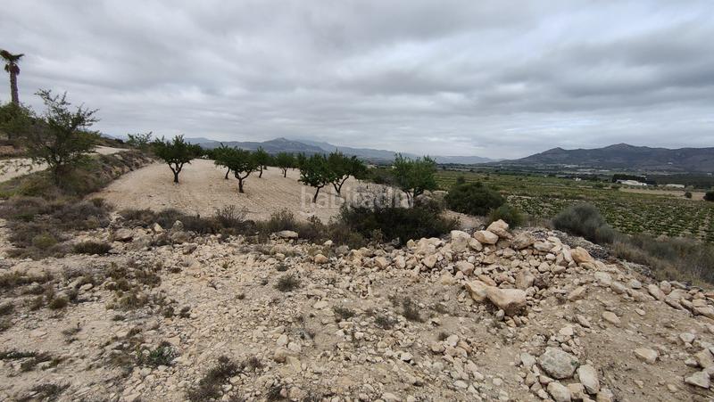 Foto 0b8ed357-0b0e-4901-83dd-de87708ea4b9. Fondo rustico in Sax