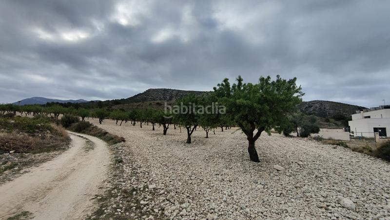 Foto 173efdf8-612e-491c-9ab8-54f07c72e4ae. Fondo rustico in Sax