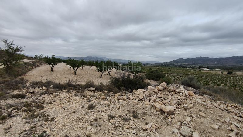 Foto 2688d9a2-007d-4074-b408-310d66534370. Fondo rustico in Sax