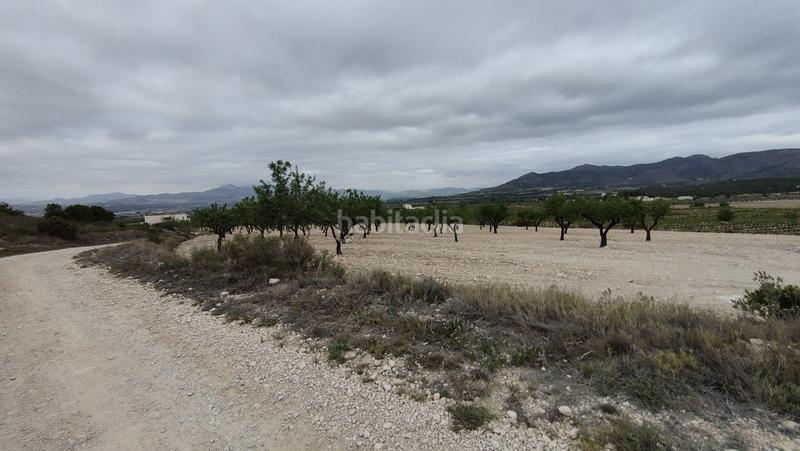 Foto 47874dfc-f4d7-4cb0-ad84-31de2c0ec0aa. Fondo rustico in Sax