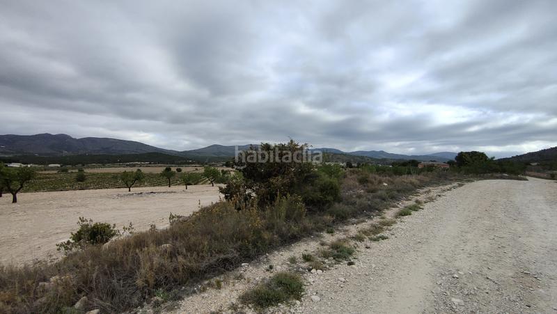 Foto 8eb8869e-96cb-43f9-a9fd-fe2e5ad44bd9. Fondo rustico in Sax