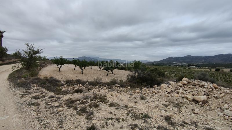 Foto e1bb6bb5-55a7-4f83-90fa-67eaa21e9854. Fondo rustico in Sax