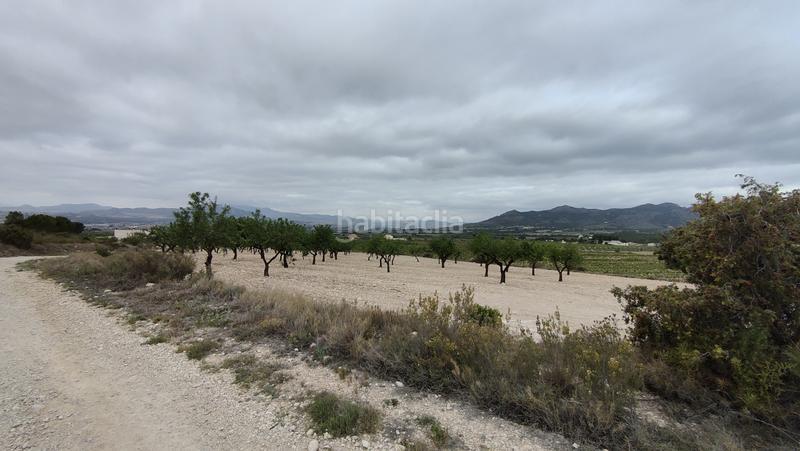 Foto fa966f53-a525-4d25-bcb1-976d2cdbf7c2. Fondo rustico in Sax