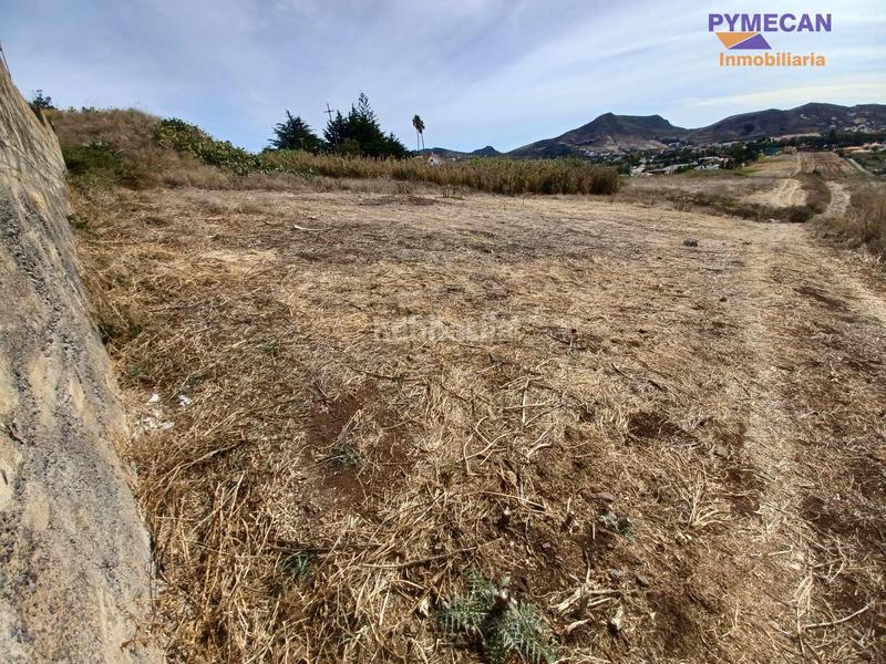 Foto ba729421-6179-4cb0-b6f9-545a2fbbcc9c. Bauernhof in Vega Lagunera San Cristóbal de La Laguna