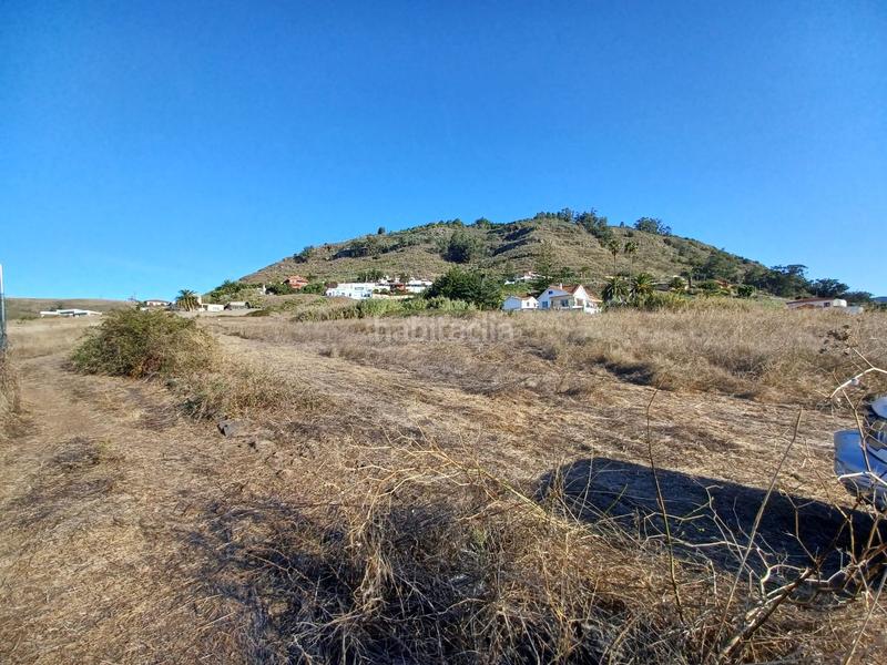 Foto c75c38b7-7d09-4811-9036-81c530700300. Bauernhof in Vega Lagunera San Cristóbal de La Laguna