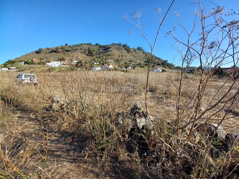 Foto d0a199b5-2420-4ad0-8bbf-2053792de5bc. Bauernhof in Vega Lagunera San Cristóbal de La Laguna