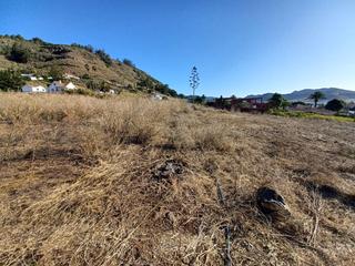 Mas à Vega Lagunera. Finca rúst. en venta en san cristóbal de la laguna.