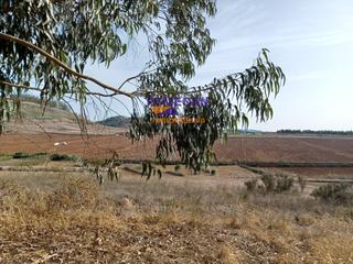 Residential Plot en La Esperanza - Llano del Moro. Terreno en venta en la esperanza.