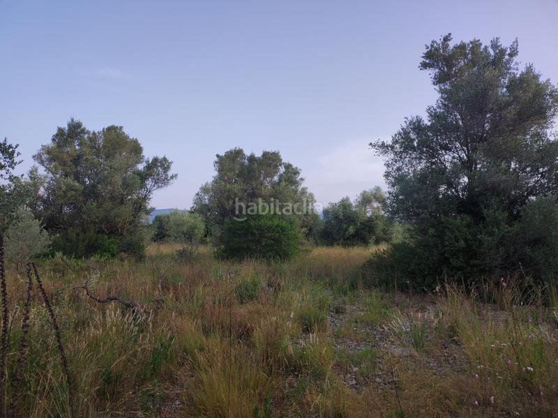 Foto 5603d924-2951-4de6-8989-67462660ff8d. Casale in mas de lluna - els valentins in Ulldecona