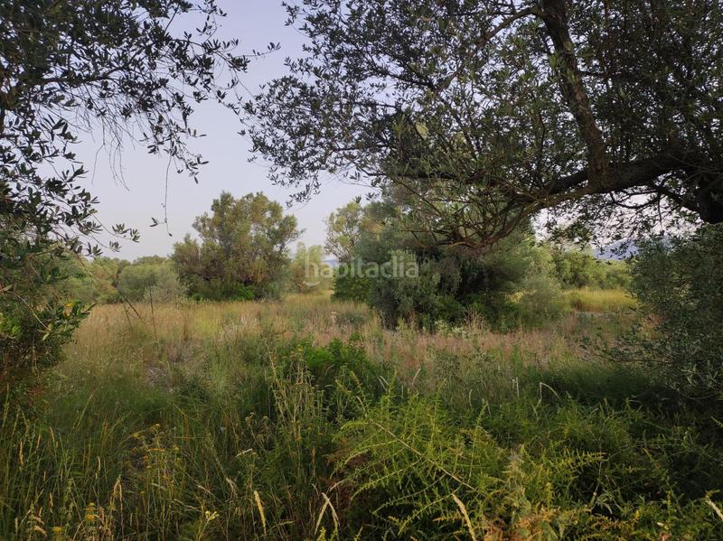 Foto 6247c41c-55e5-4125-bc2f-c2b66d2b14ae. Casale in mas de lluna - els valentins in Ulldecona