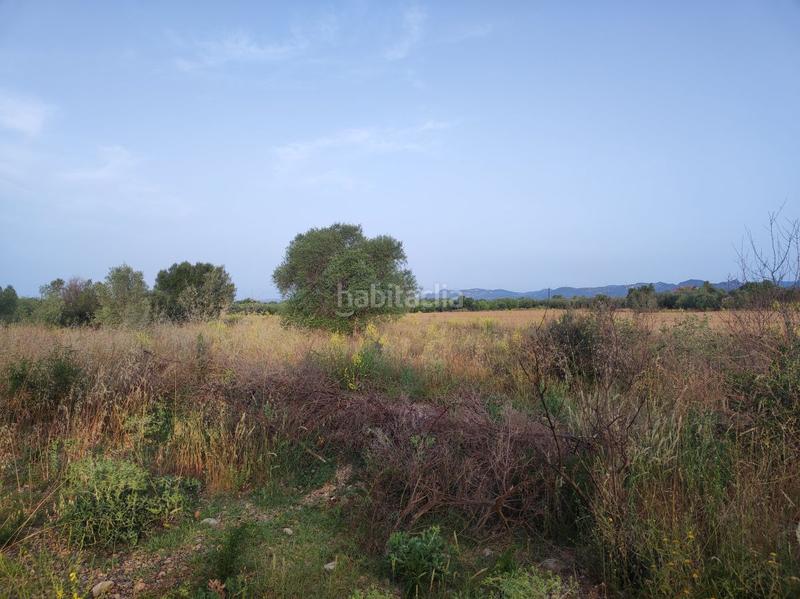 Foto 7aca7406-425c-45d3-ad6c-d86cea91a044. Casale in mas de lluna - els valentins in Ulldecona