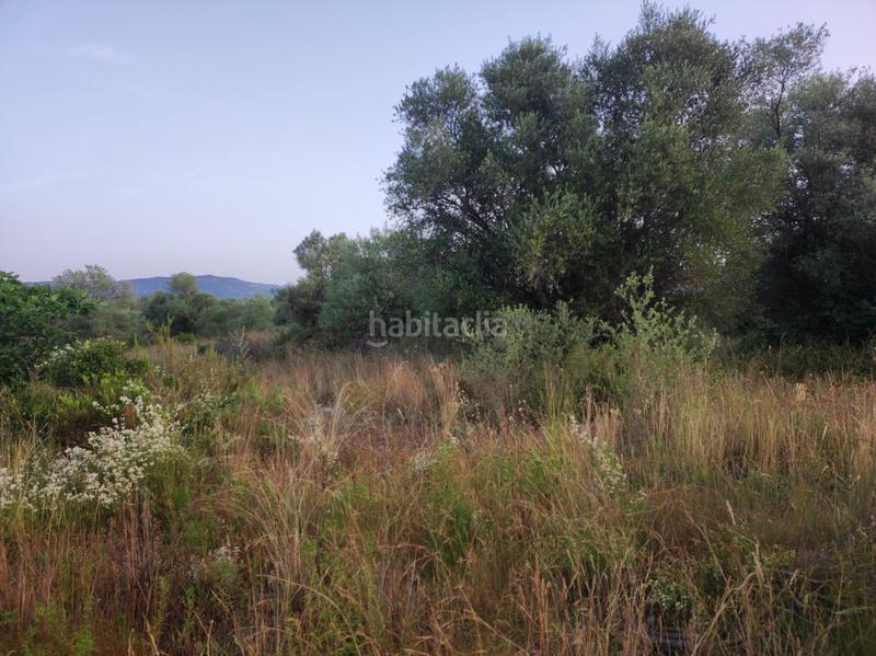 Foto a6125aa6-c9e2-4e52-a9e6-481e474b97df. Casale in mas de lluna - els valentins in Ulldecona