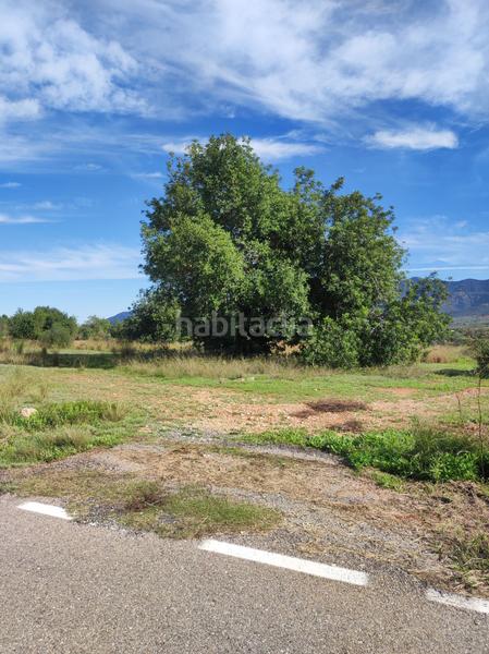 Foto 329bc895-20e2-46ce-ab66-b5947a70d601. Masía finca rúst. en venta . en Ulldecona