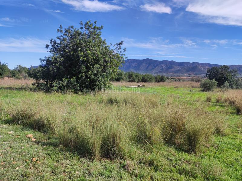 Foto 4cd20e3e-472b-491f-b1d5-ebd8c085d378. Masía finca rúst. en venta . en Ulldecona