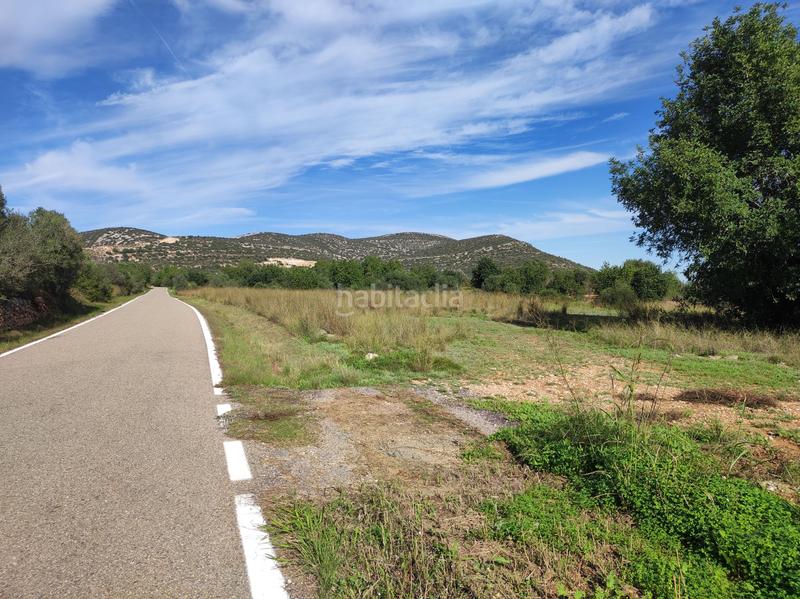 Foto 94393a1b-6bf4-4ae5-a4f4-8d71321311e5. Masía finca rúst. en venta . en Ulldecona