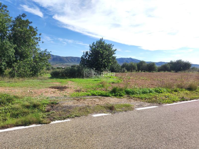 Foto b3228dd1-55f3-42b7-81ad-9648e630e693. Masía finca rúst. en venta . en Ulldecona