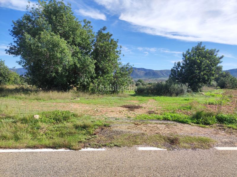 Foto d770c616-331c-479d-9c04-9010fb8d57e5. Masía finca rúst. en venta . en Ulldecona