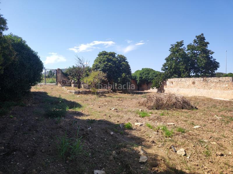 Foto 9978d714-f180-47ec-92f1-bac1af9f7177. Terrain résidentiel dans ramon salomon 34 dans Ulldecona