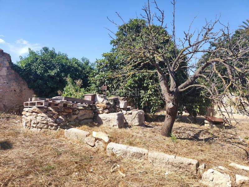 Foto dc06f371-10a9-480e-b569-ab6ea92e668e. Terrain résidentiel dans ramon salomon 34 dans Ulldecona