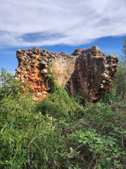 Masía en Els plans. Finca rúst. en venta en ulldecona.