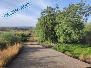 Mas  La raval. Finca rúst. en venta en ulldecona.