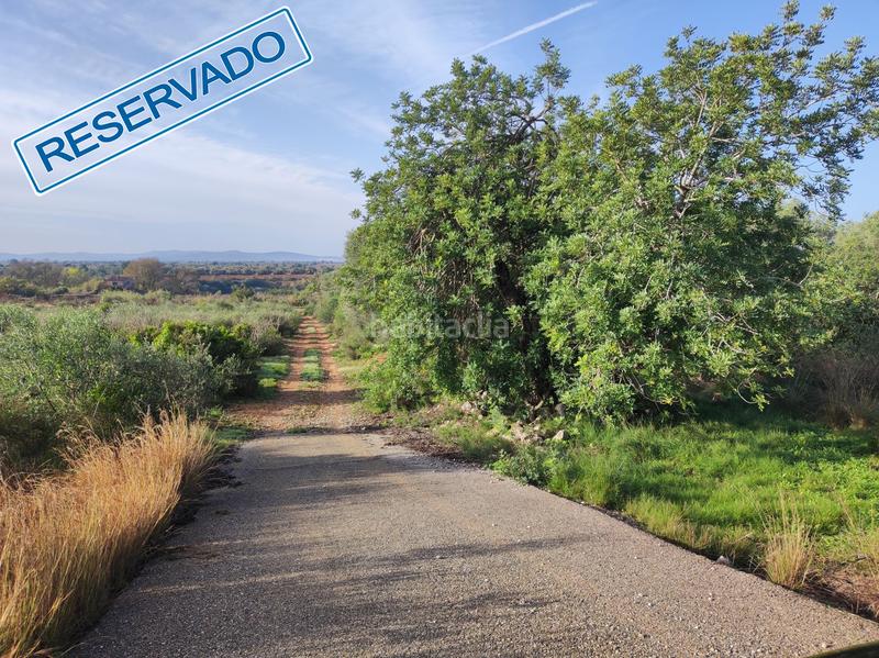 Foto 24a37e54-78da-487f-9fdd-a97f5cca7e9d. Casale in la raval in Ulldecona