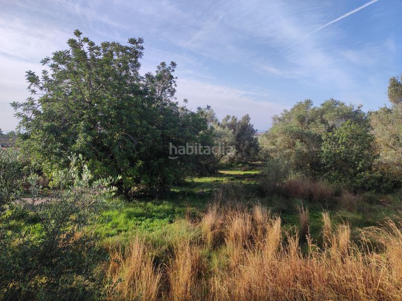 Foto 2524cc77-e75b-4055-8dc3-5a2746a5e0bf. Casale in la raval in Ulldecona