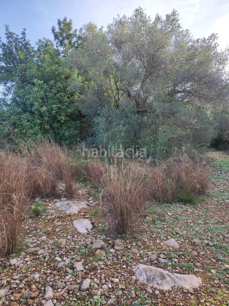 Foto 2c8c4586-3dce-4081-9753-eef1dc5b3c2d. Casale in la raval in Ulldecona