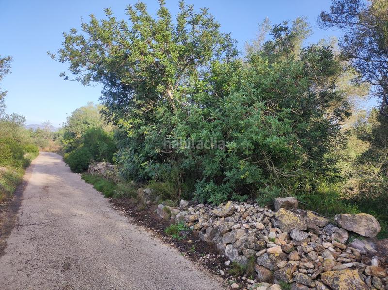 Foto 320870a3-40e4-4f4d-b2dd-b9faf19921b1. Casale in la raval in Ulldecona