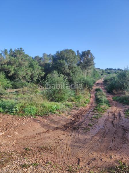 Foto 4e731f37-1ef0-4346-a227-8a79e3115c2a. Casale in la raval in Ulldecona