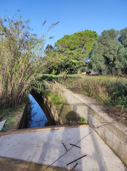 Foto 6843e60a-56f3-43f3-a53f-f00729def868. Casale in la raval in Ulldecona