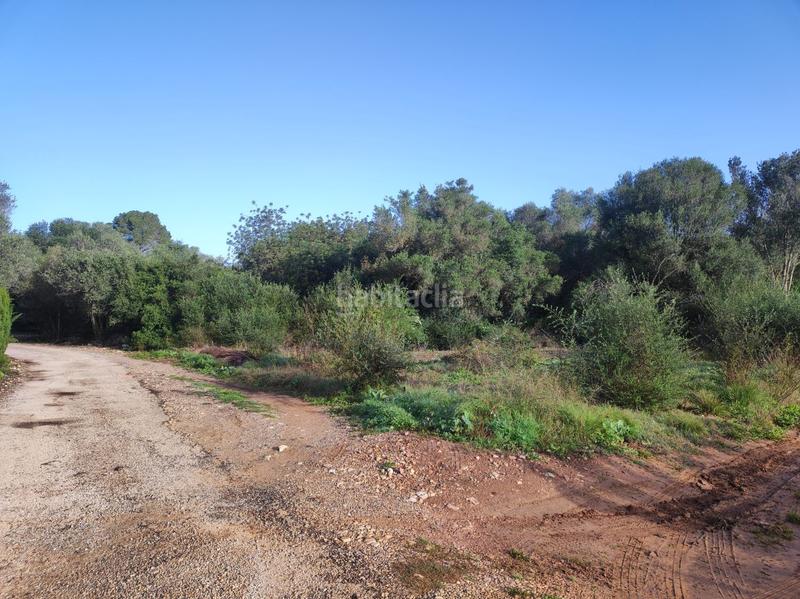 Foto 8496ba3e-6c10-4c8d-87d0-9d1fdb014ce1. Casale in la raval in Ulldecona