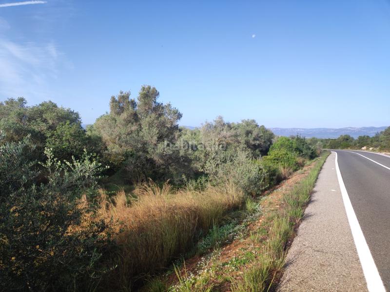 Foto 98980a0f-9fa2-4dc7-a71a-f74351c81e5d. Casale in la raval in Ulldecona