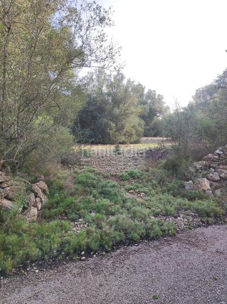 Foto b2298d98-9534-4970-8ac5-ffe1130aadcf. Casale in la raval in Ulldecona