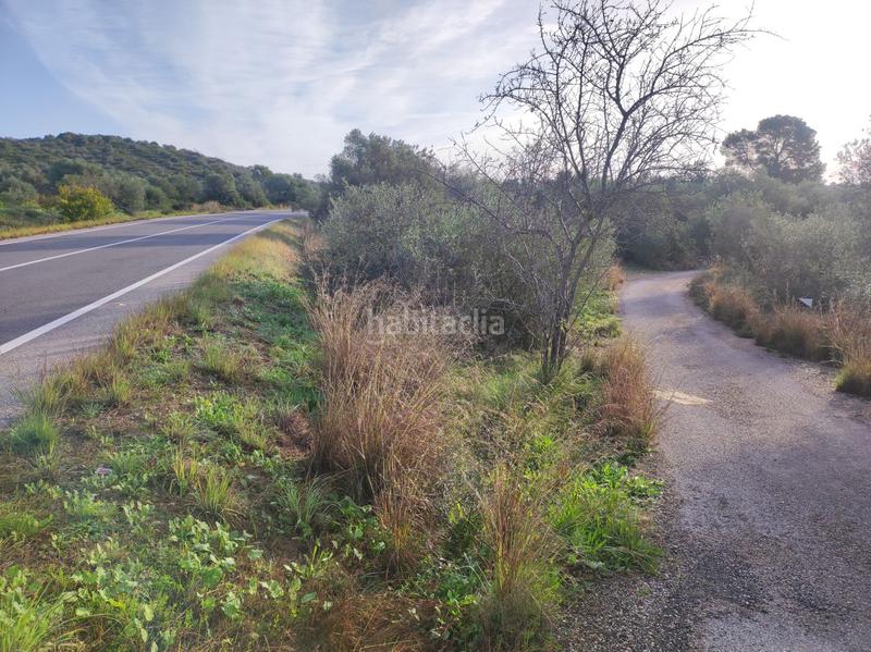 Foto c22be226-7635-4028-ac09-c60da9a952da. Casale in la raval in Ulldecona