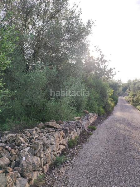 Foto e7824a0f-d6ec-4e29-a429-d16137daddd4. Casale in la raval in Ulldecona