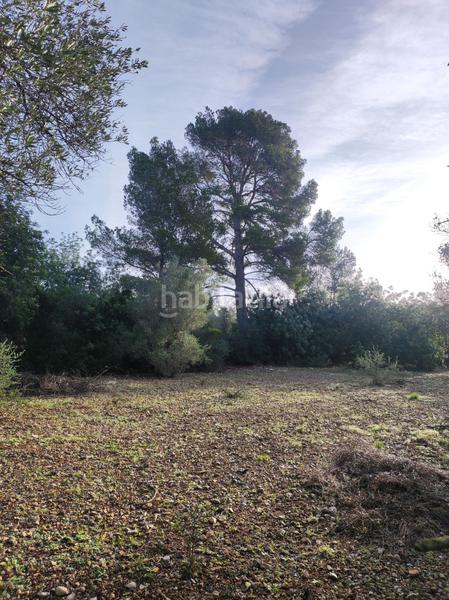 Foto f144031a-3844-4c6d-b593-10a820f0a95c. Casale in la raval in Ulldecona