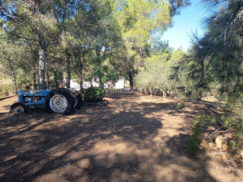 Foto 23ae3a8e-ed70-4dd0-adc4-33cd7db58925. Chalet  en venta , 7 dormitorios. en Ulldecona