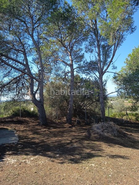 Foto 5320e316-357f-4e7f-baf2-1769338c932d. Chalet  en venta , 7 dormitorios. en Ulldecona